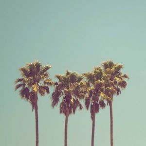 Meet your Posher, Marina